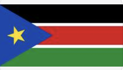 南苏丹BESC/ECTN电子跟踪单办理流程费用周期